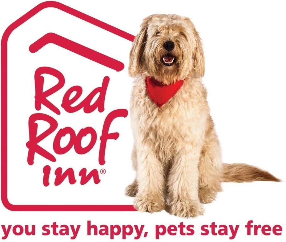 Red Roof Inn Plus+ Austin South Exterior photo